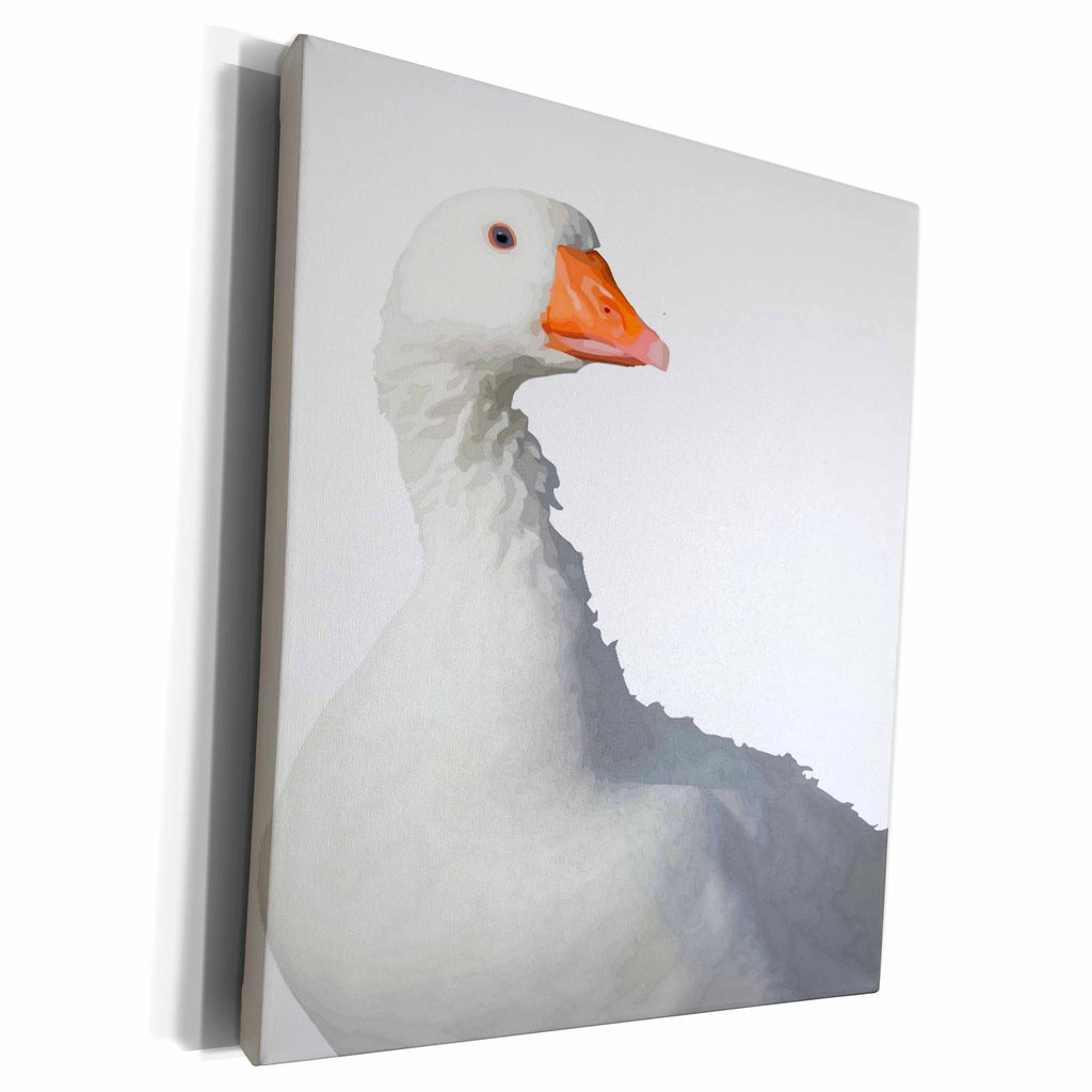 3dRose Wild White Duck Background Removed - Museum Grade Canvas Wrap (cw_214051)