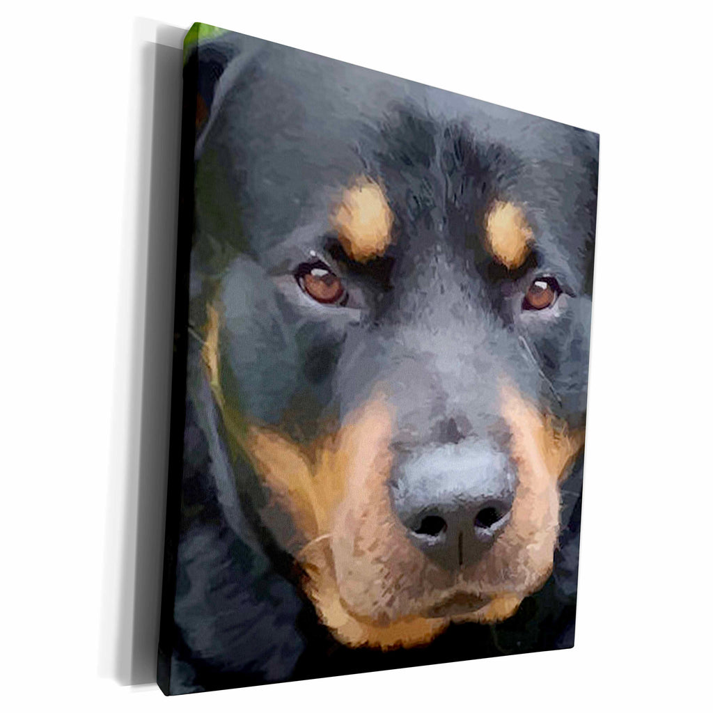 3dRose Beautiful Female Rottweiler Portrait Vector - Museum Grade Canvas Wrap (cw_214113)