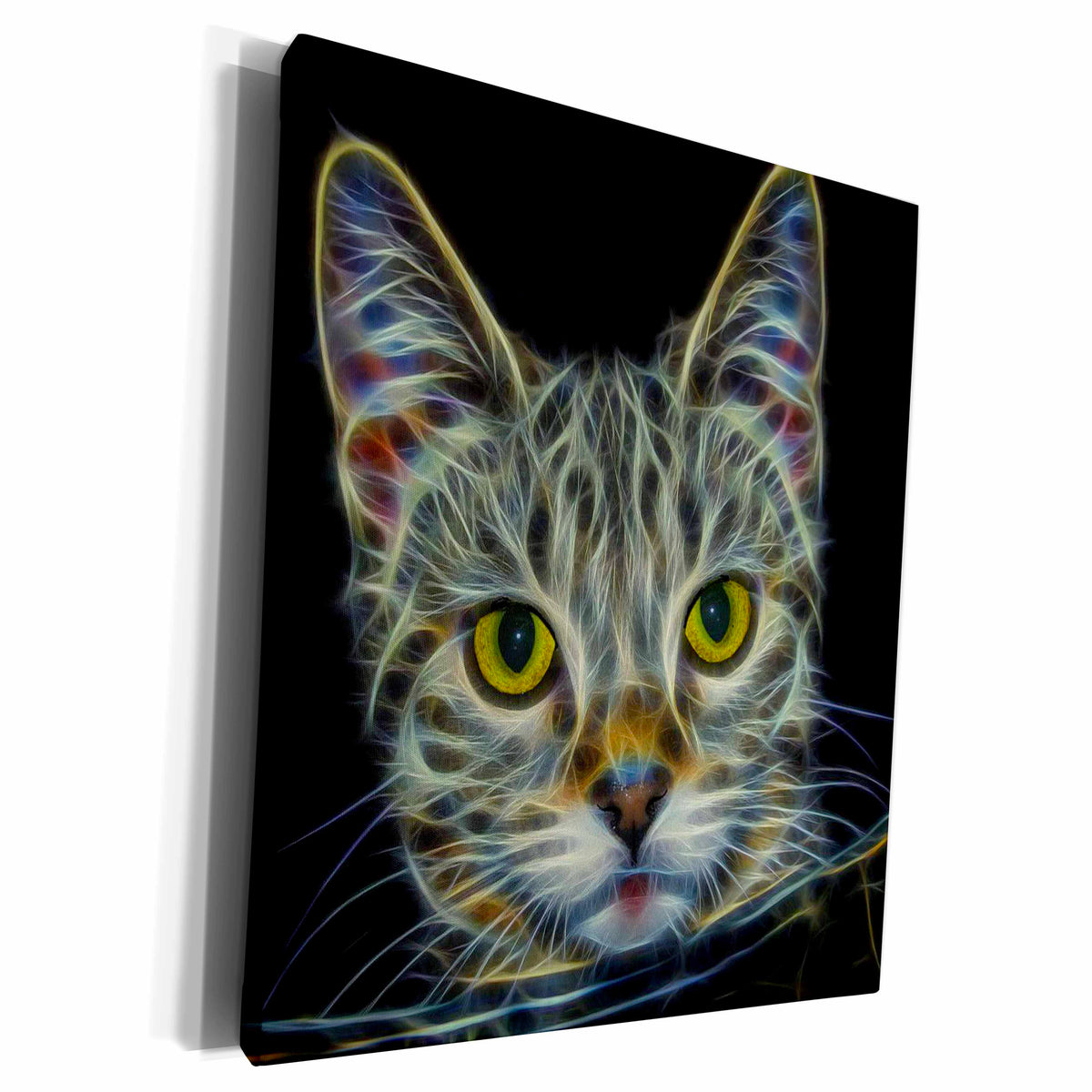 3dRose Calico Kitty with Black Background - Museum Grade Canvas Wrap (cw_214329)