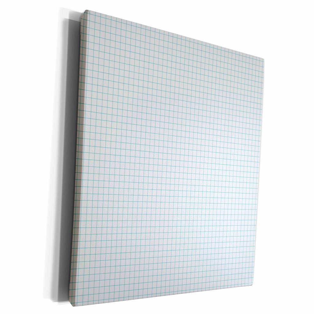 3dRose Blue and White Graph Paper Effect - Museum Grade Canvas Wrap (cw_215548)