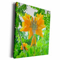 3dRose Florene Flower - Image Of Asian Orange Flowering Tree - Museum Grade Canvas Wrap (cw_223034)