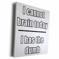 3dRose I Cannot Brain Today I Has The Dumb White - Museum Grade Canvas Wrap (cw_223686)