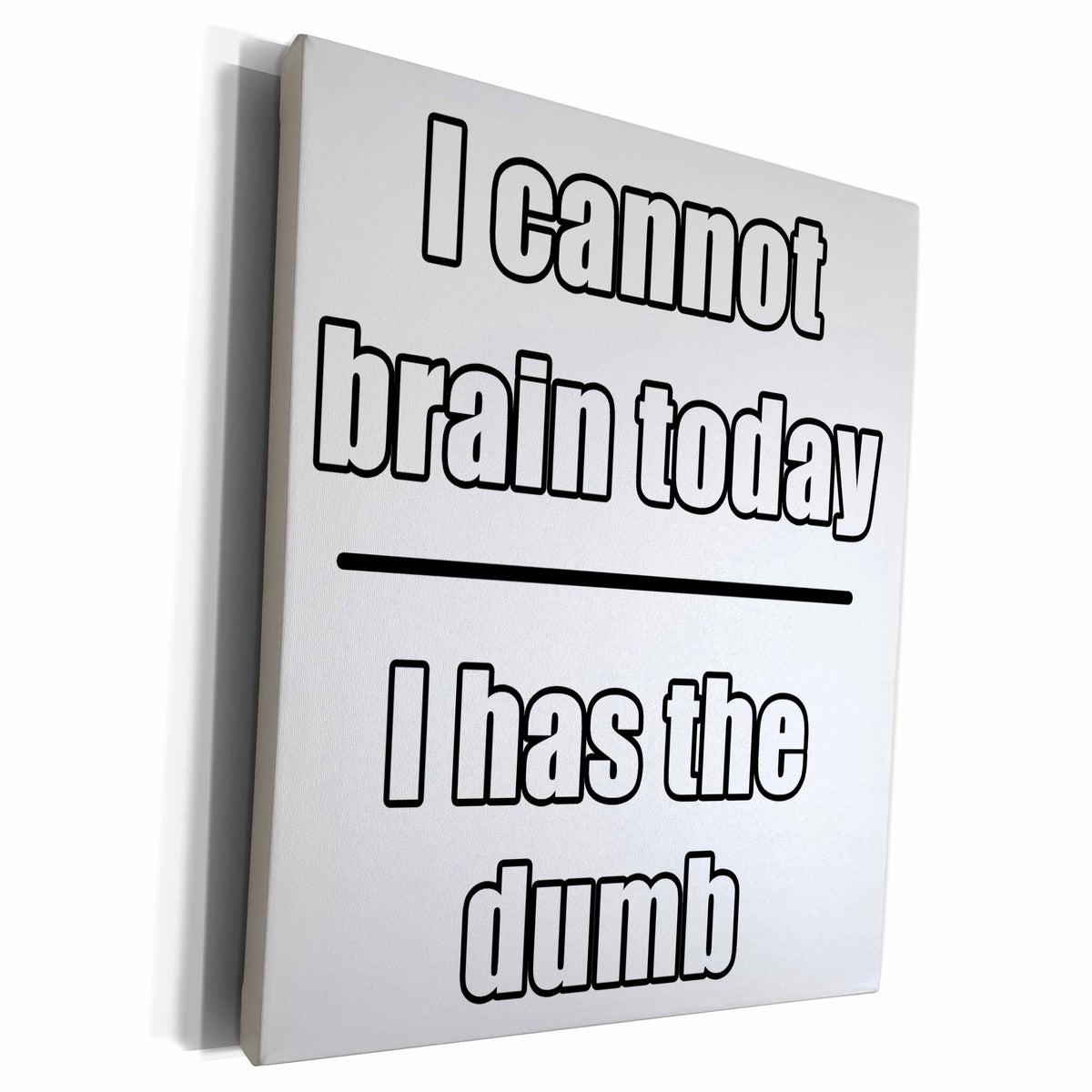 3dRose I Cannot Brain Today I Has The Dumb White - Museum Grade Canvas Wrap (cw_223686)