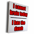 3dRose I Cannot Brain Today I Has The Dumb Red - Museum Grade Canvas Wrap (cw_223687)