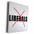 3dRose EvaDane - Quotes - Liberals - Museum Grade Canvas Wrap (cw_224028)
