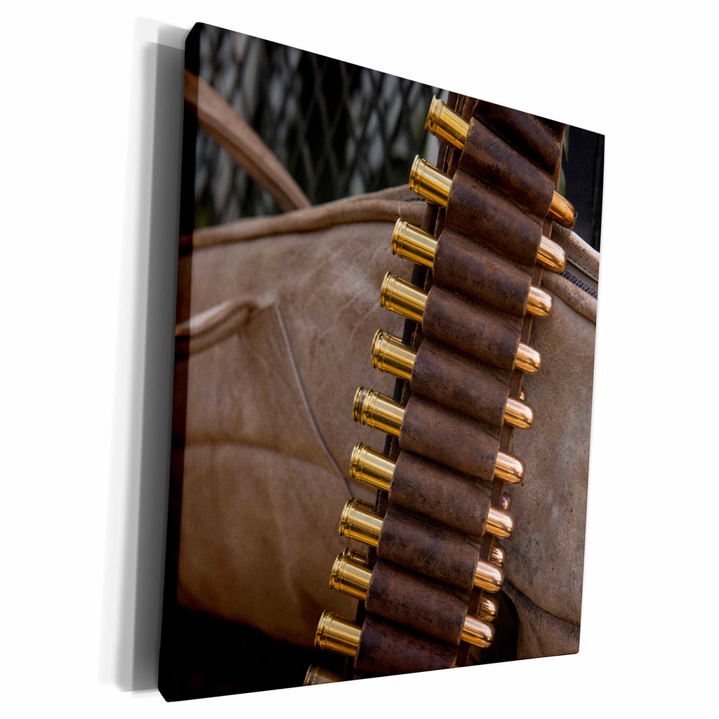 3dRose Elephant capture security weapon, Zimbabwe - Museum Grade Canvas Wrap (cw_225168)