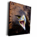 3dRose Liberec, Sychrov. Golden Eagle - Museum Grade Canvas Wrap (cw_227160)