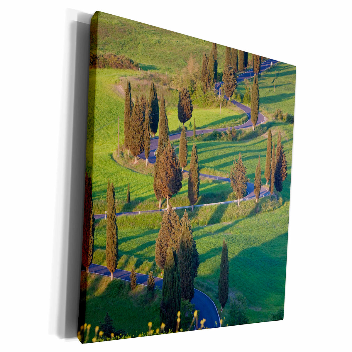 3dRose Winding Road, Monticchiello, Tuscany - Museum Grade Canvas Wrap (cw_227688)