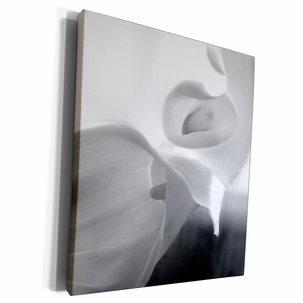 3dRose Black and White Calla Lily - Museum Grade Canvas Wrap (cw_228190)