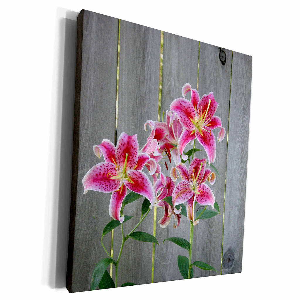 3dRose Stargazer Lily by Rustic Fence - Museum Grade Canvas Wrap (cw_228229)