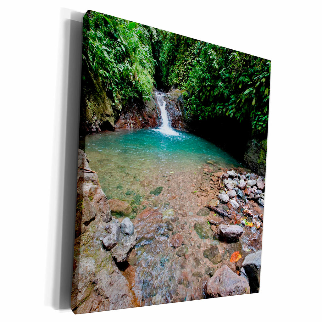 3dRose Swimming hole, Rainmaker Conservation Project, Costa... - Museum Grade Canvas Wrap (cw_229309)