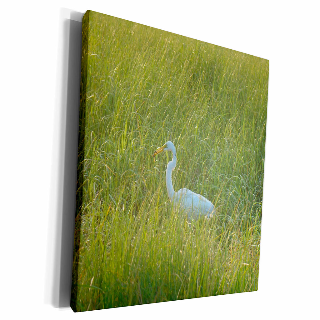 3dRose Ann Euell Birds - Egret ready for supper - Museum Grade Canvas Wrap (cw_23240)