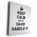 3dRose Keep Calm and Let David Handle it - funny personal... - Museum Grade Canvas Wrap (cw_233234)