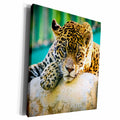3dRose Leopard. Wildlife Cool image. - Museum Grade Canvas Wrap (cw_233895)