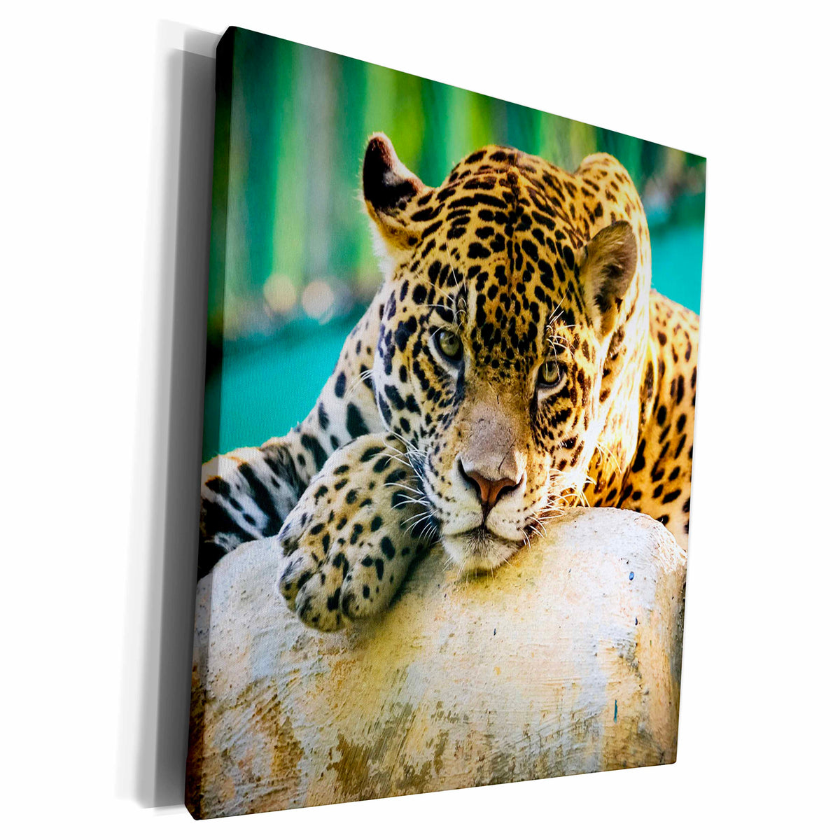3dRose Leopard. Wildlife Cool image. - Museum Grade Canvas Wrap (cw_233895)