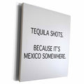 3dRose TEQUILA SHOTS. BECAUSE ITS MEXICO SOMEWHERE. - Museum Grade Canvas Wrap (cw_234016)