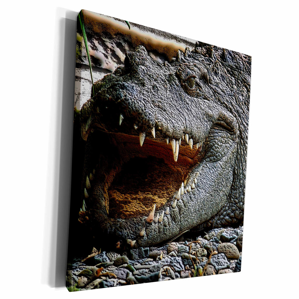 3dRose TNMGraphics Animals - Crocodile - Museum Grade Canvas Wrap (cw_23426)