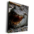3dRose TNMGraphics Animals - Crocodile - Museum Grade Canvas Wrap (cw_23426)