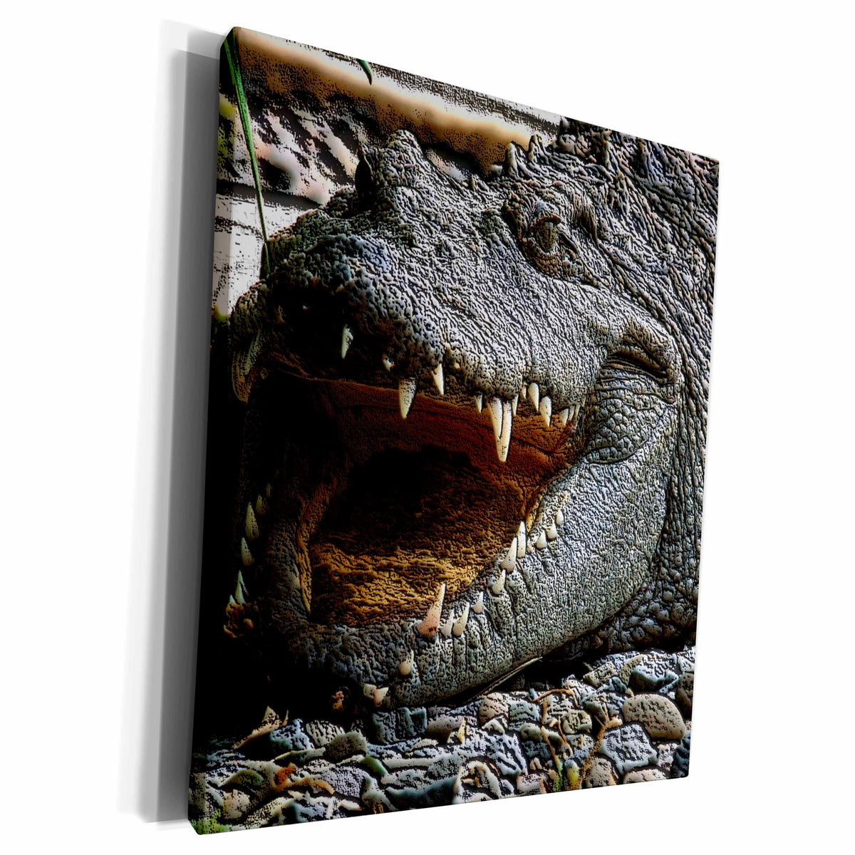 3dRose TNMGraphics Animals - Crocodile - Museum Grade Canvas Wrap (cw_23426)