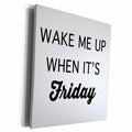 3dRose WAKE ME UP WHEN ITS FRIDAY - Museum Grade Canvas Wrap (cw_234342)
