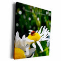 3dRose treasure simple things ladybug - Museum Grade Canvas Wrap (cw_23507)