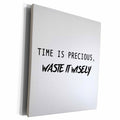 3dRose TIME IS PRECIOUS, WASTE IT WISELY - Museum Grade Canvas Wrap (cw_235544)