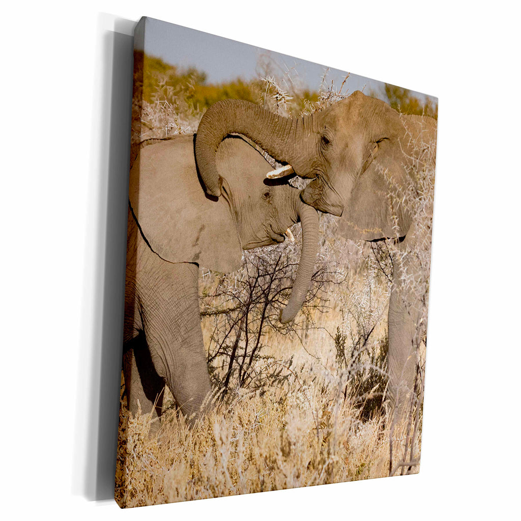 3dRose Roni Chastain Photography - Two elephants playing - Museum Grade Canvas Wrap (cw_244744)