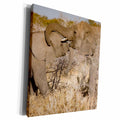 3dRose Roni Chastain Photography - Two elephants playing - Museum Grade Canvas Wrap (cw_244744)