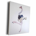 3dRose Boehm Graphics Bird - An Ostrich Attacking - Museum Grade Canvas Wrap (cw_245601)