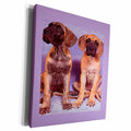 3dRose Dogs Great Dane - Great Danes - Museum Grade Canvas Wrap (cw_250)