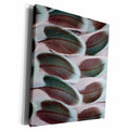 3dRose Parakeet wing feather design - Museum Grade Canvas Wrap (cw_250100)