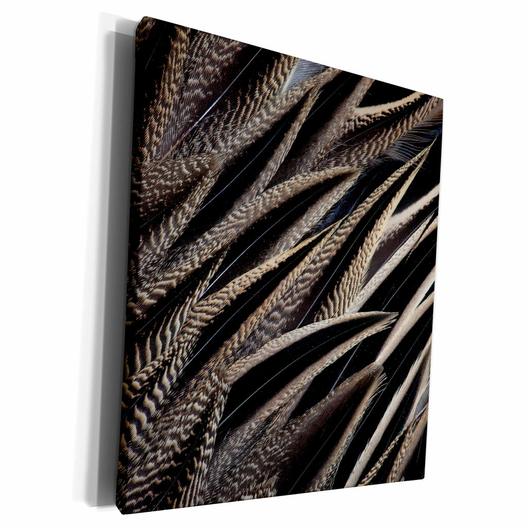3dRose Back feathers of the Northern Pintail Duck - Museum Grade Canvas Wrap (cw_250313)