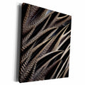 3dRose Back feathers of the Northern Pintail Duck - Museum Grade Canvas Wrap (cw_250313)