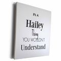 3dRose BrooklynMeme Names - Its a Hailey thing - Museum Grade Canvas Wrap (cw_252233)