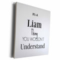 3dRose BrooklynMeme Names - Its a Liam thing - Museum Grade Canvas Wrap (cw_252238)