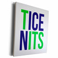 3dRose Word Scramble - TICE NITS COLOR - Museum Grade Canvas Wrap (cw-384499)