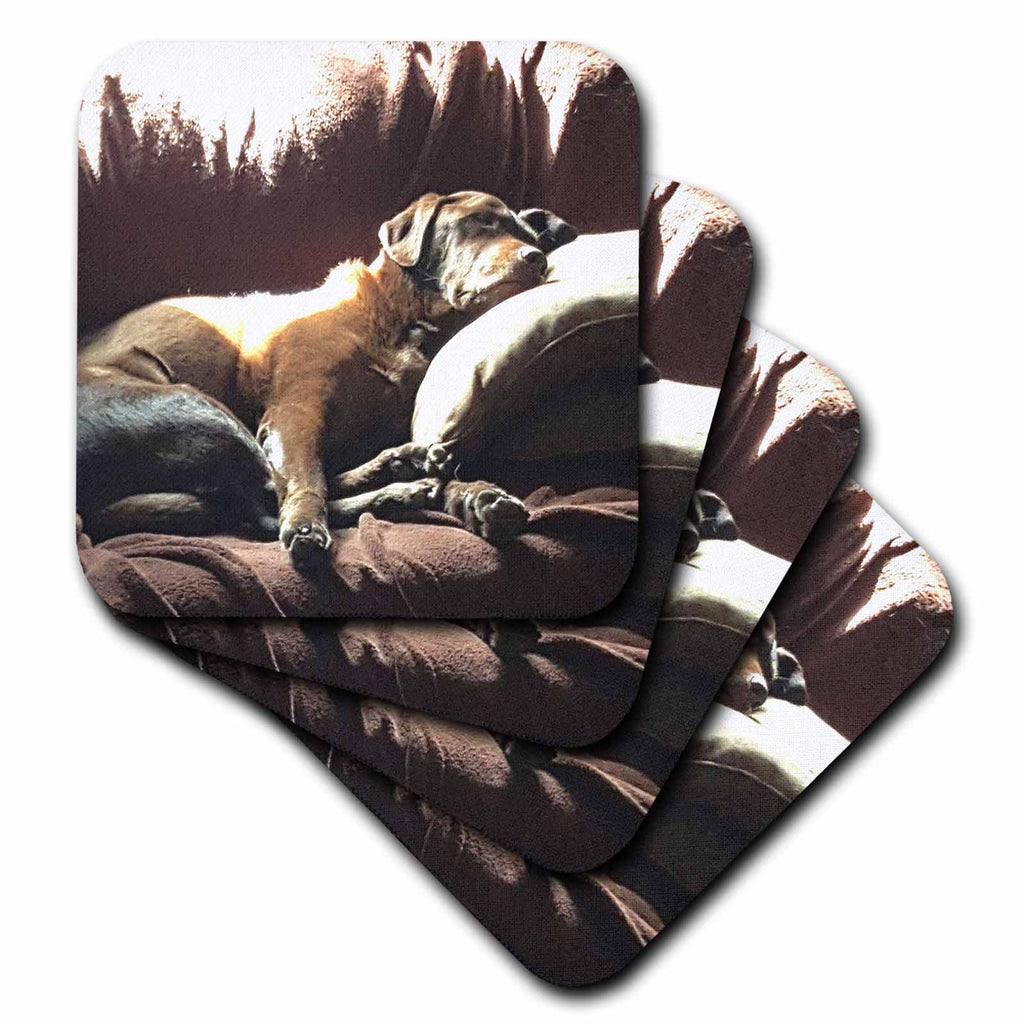 3dRose Flag