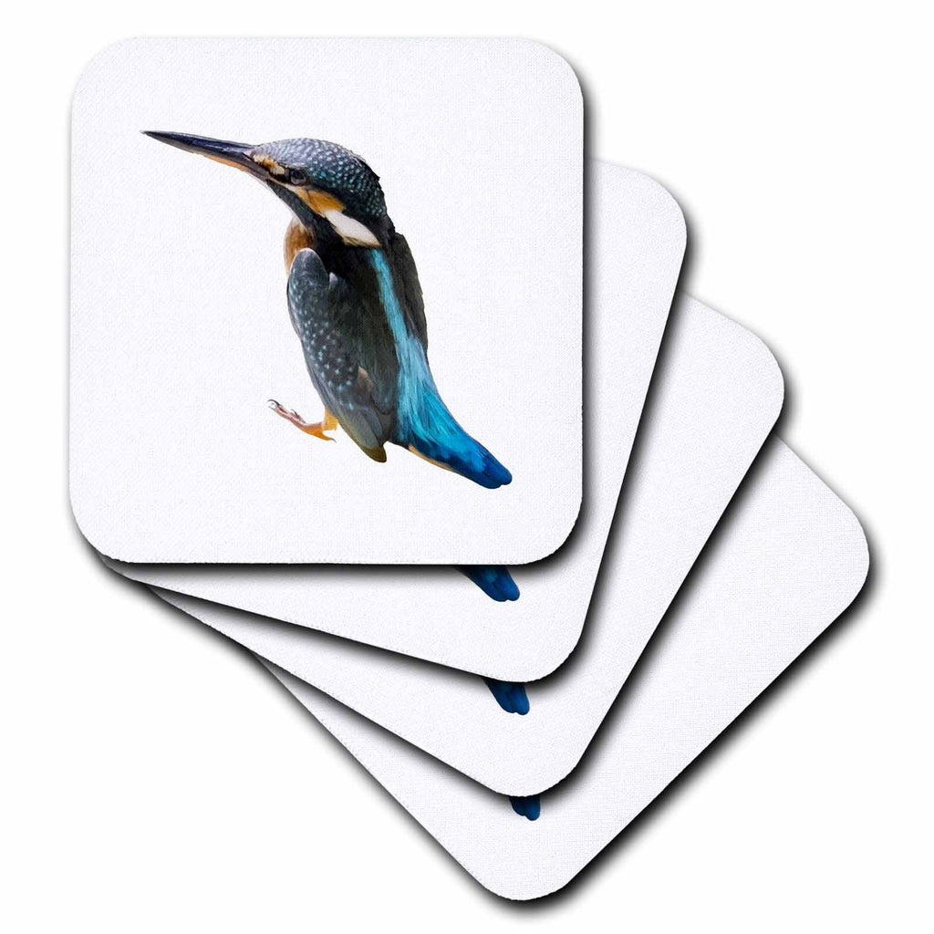 3dRose A Turquoise Blue Eurasian Bird Vector Cut Out - Coasters (cst-382551)