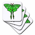 3dRose Cool Fun Flying Luna Moth Garden and Nature Art - Coasters (cst-383182)