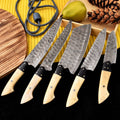 Custom Handmade Damascus Knife Set with Camel Bone & Resin Handles | Free Shipping USA