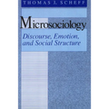 Microsociology: Discourse, Emotion, and Social Structure - Paperback
