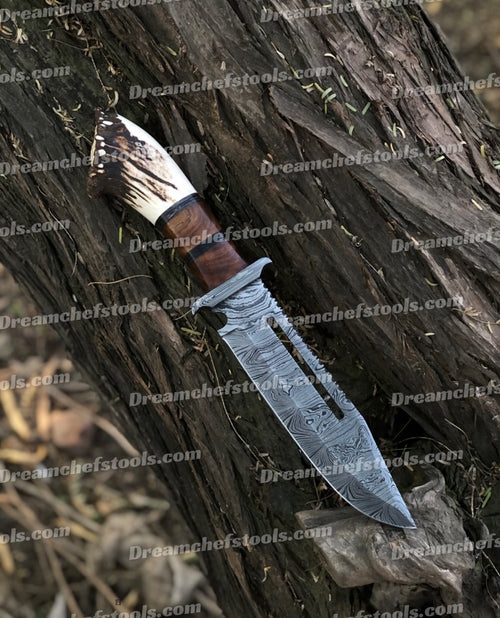 15" Handmade Damascus Steel Bowie Knife – Full Tang with Stag Crown Antler & Rosewood Handle, Damascus Steel Guard, Includes Leather Sheath