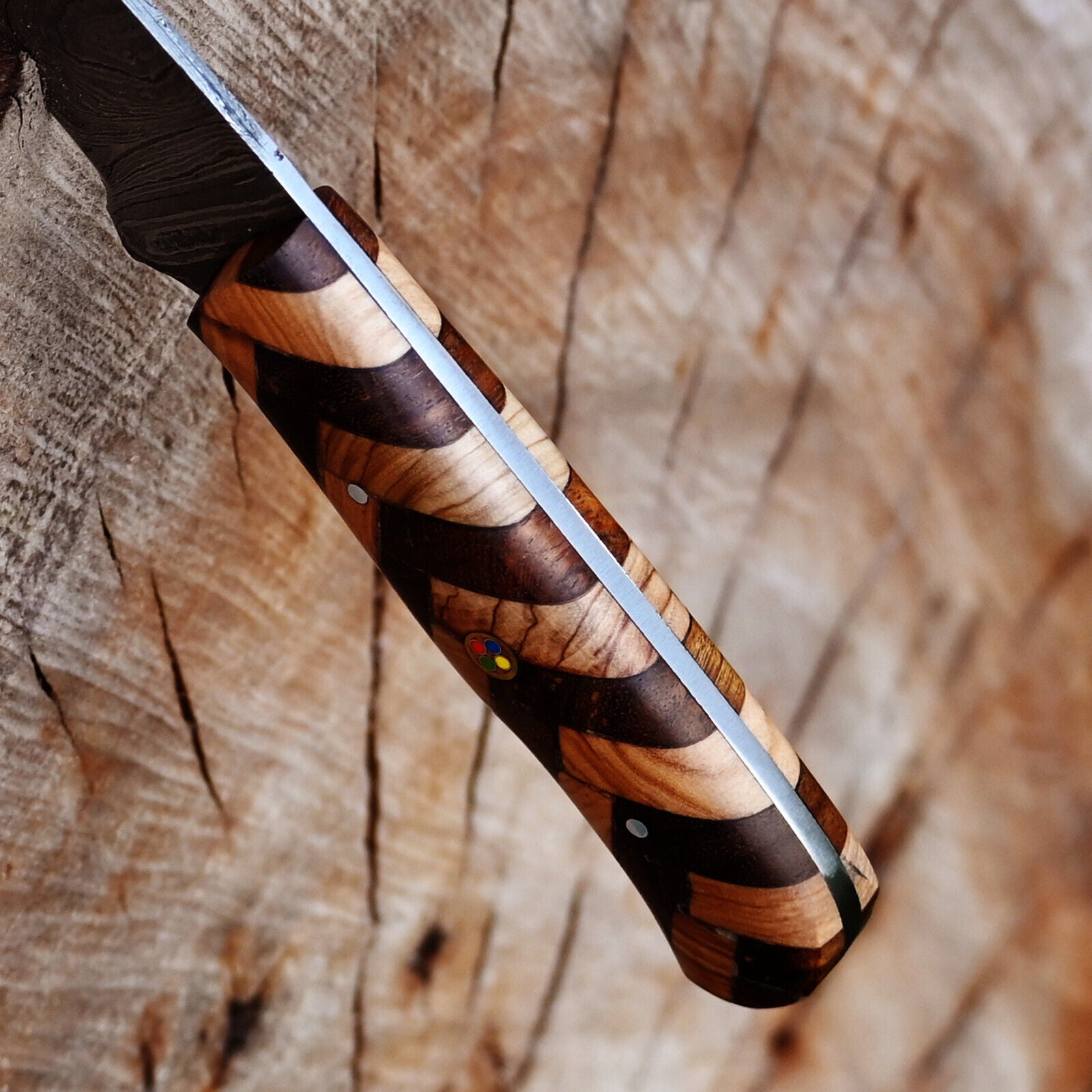 Fishing Fillet Knife - Handmade Damascus Steel Best Fillet Knife with Rosewood and Olive Wood Handle & Leather Sheath