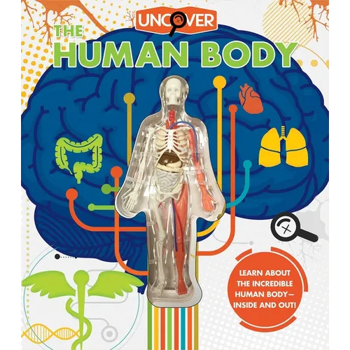 Uncover the Human Body - Hardcover