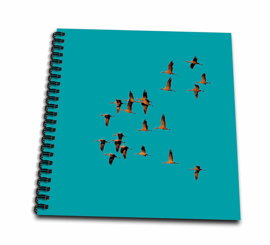 3dRose Leaving Home - A Storks Journey Vector Art - Drawing Books (db-385200)