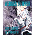 Werner Büttner: Coincidence in Splendour - Hardcover