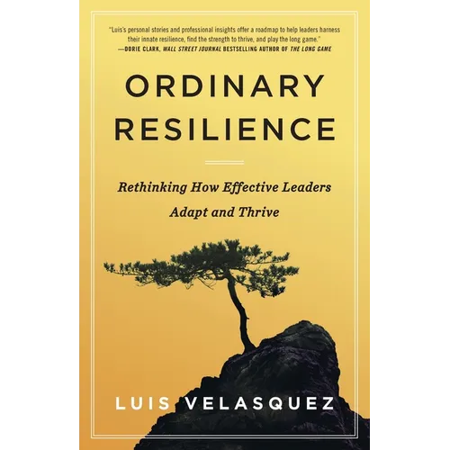 Ordinary Resilience: Rethinking How Effective Leaders Adapt and Thrive - Paperback