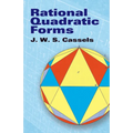 Rational Quadratic Forms - Paperback