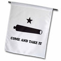 3dRose EvaDane - Signs - Come and take it - Flags (fl_161093)