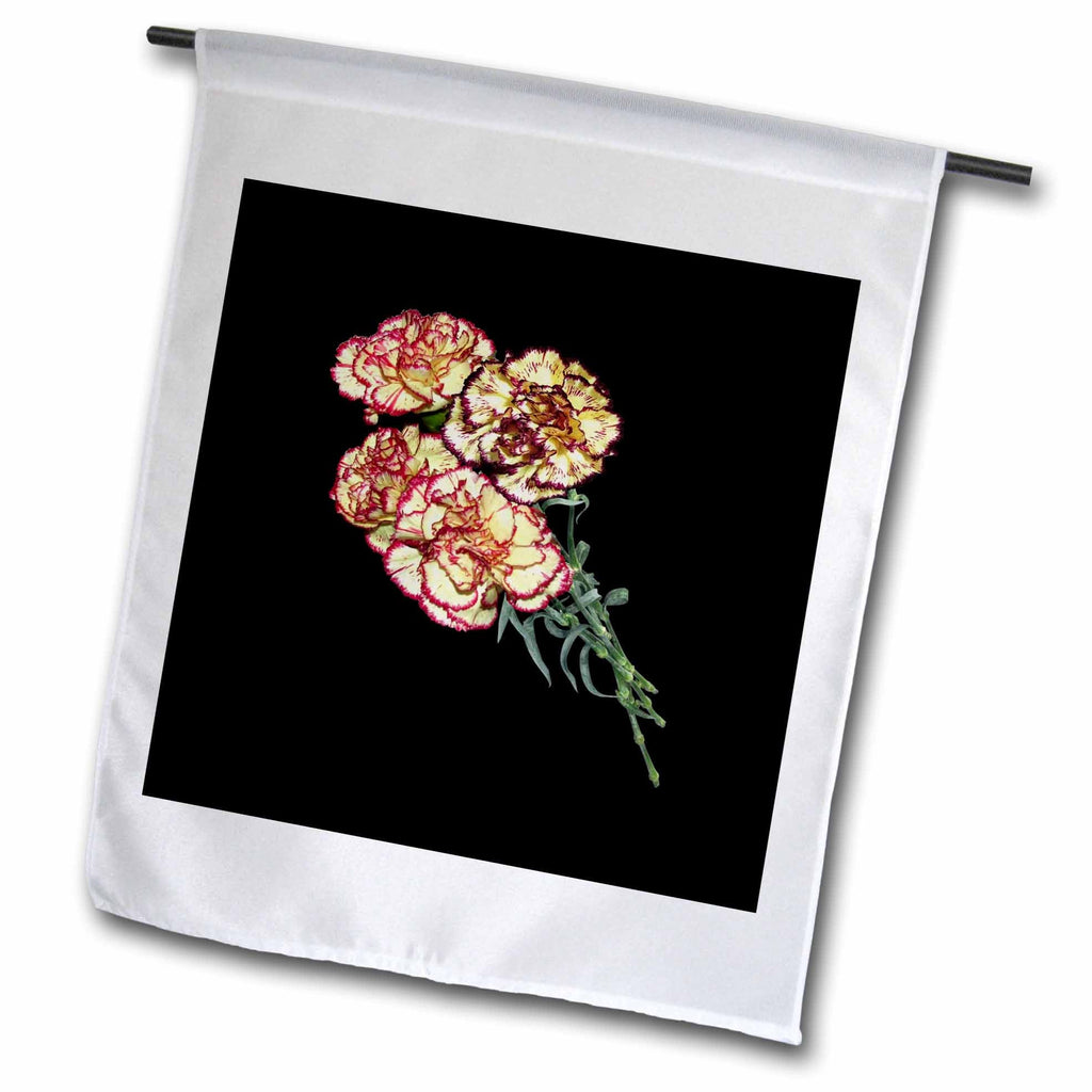 3dRose Colorful Carnations Vector Art Cut Out - Flags (fl-384953)